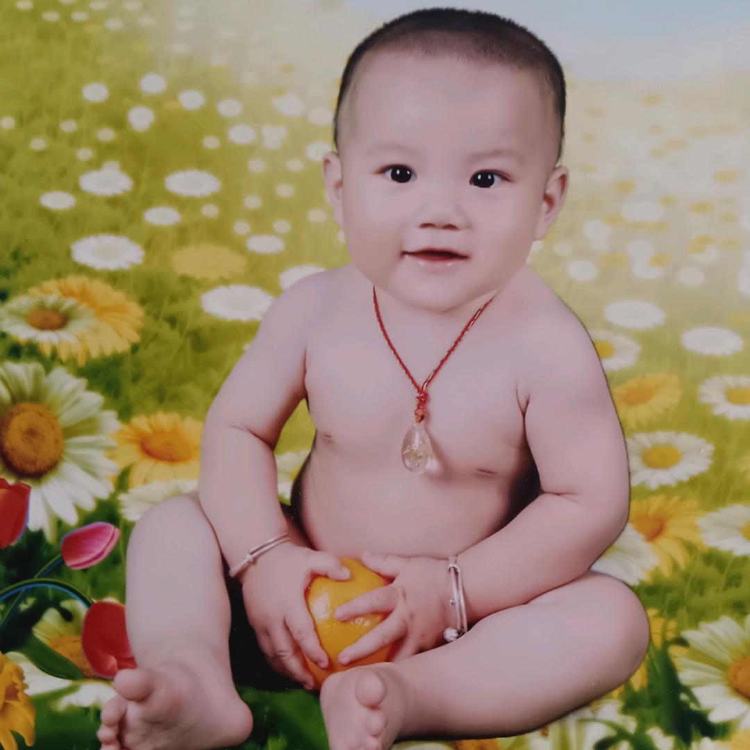 花开花落