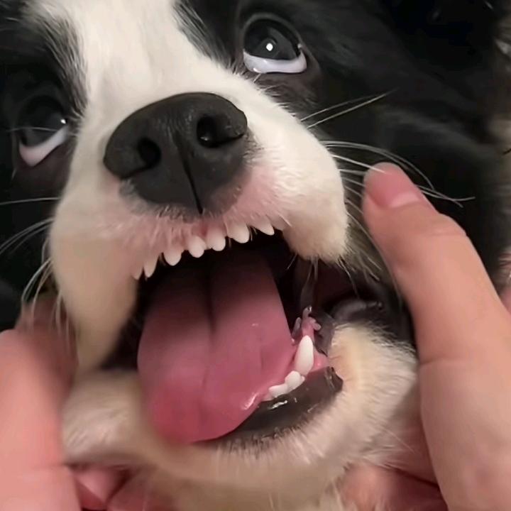 ૮₍ ˃̶ ꇴ ˂̶ ₎ა