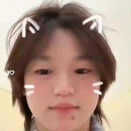 婵宝在努力
