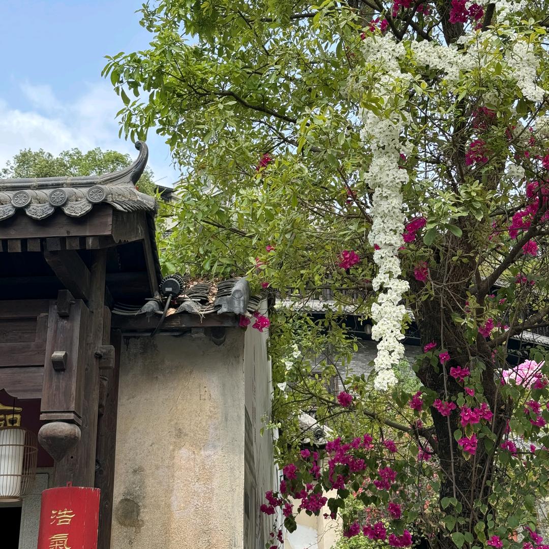 财旺旺旺运旺旺旺