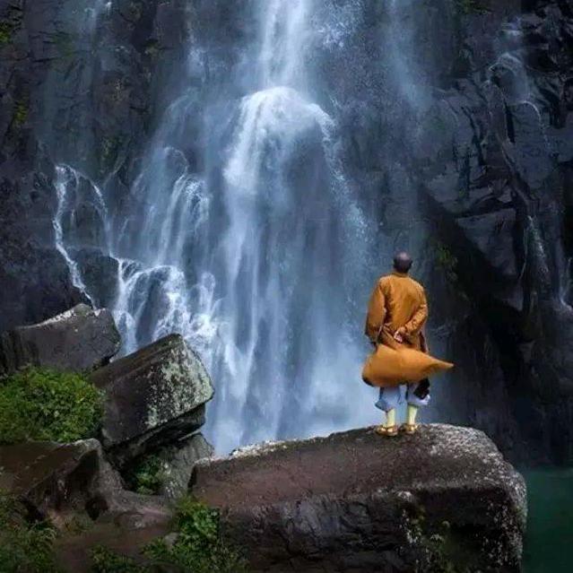 顾总