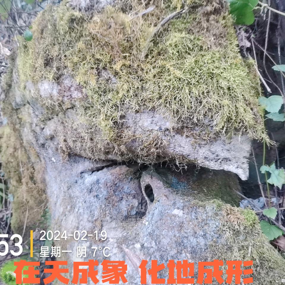 在天成象，化地成形，爱学习的二郎