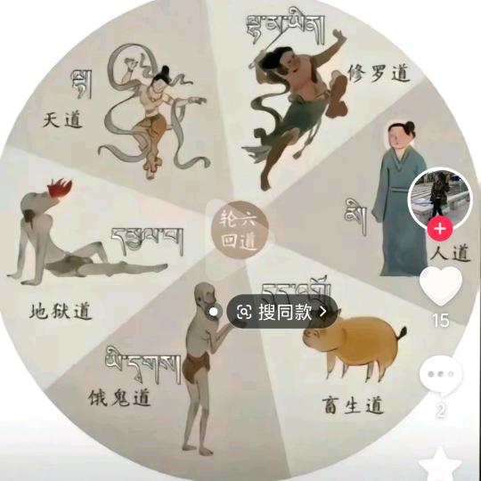 👻雪豹👻