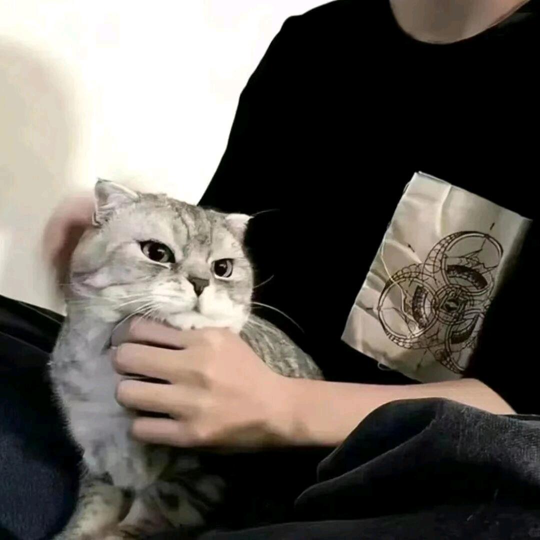 誓言