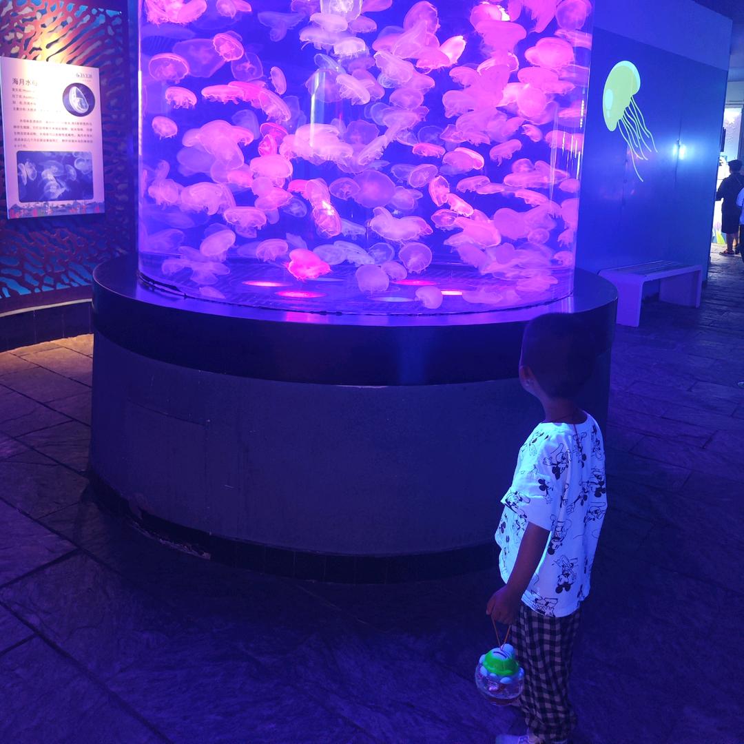 小慧子💋米宝浩宝麻麻