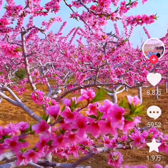 《一定要幸福》