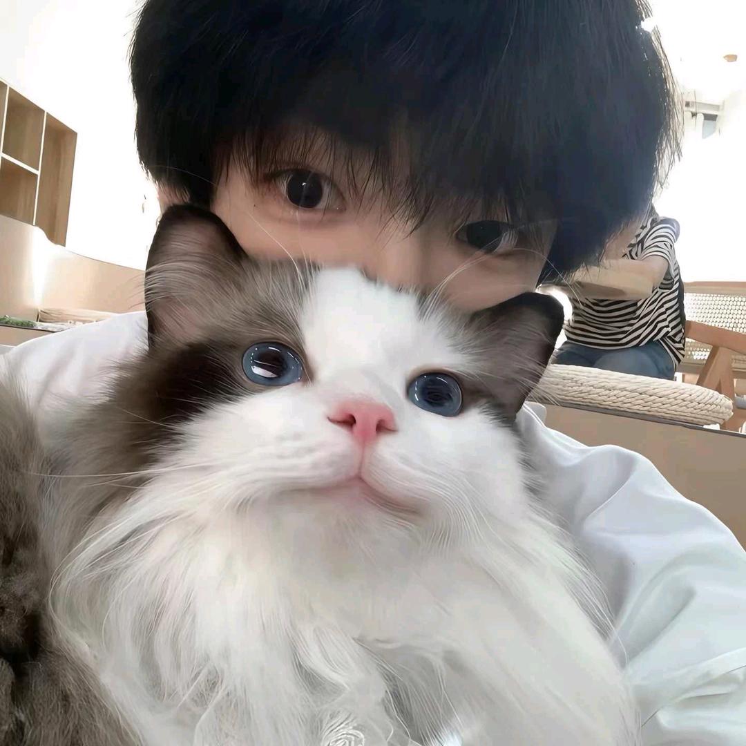 小轩的布偶猫