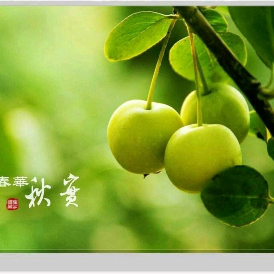悠悠然