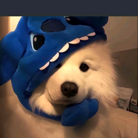 周深，冲刺5000000