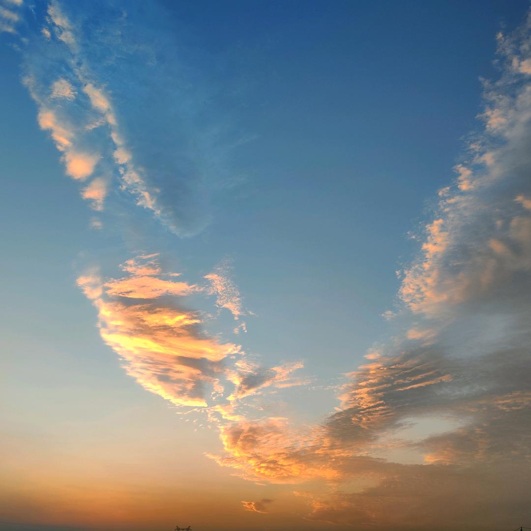 rꫀડρꪮꪀડꫀ.