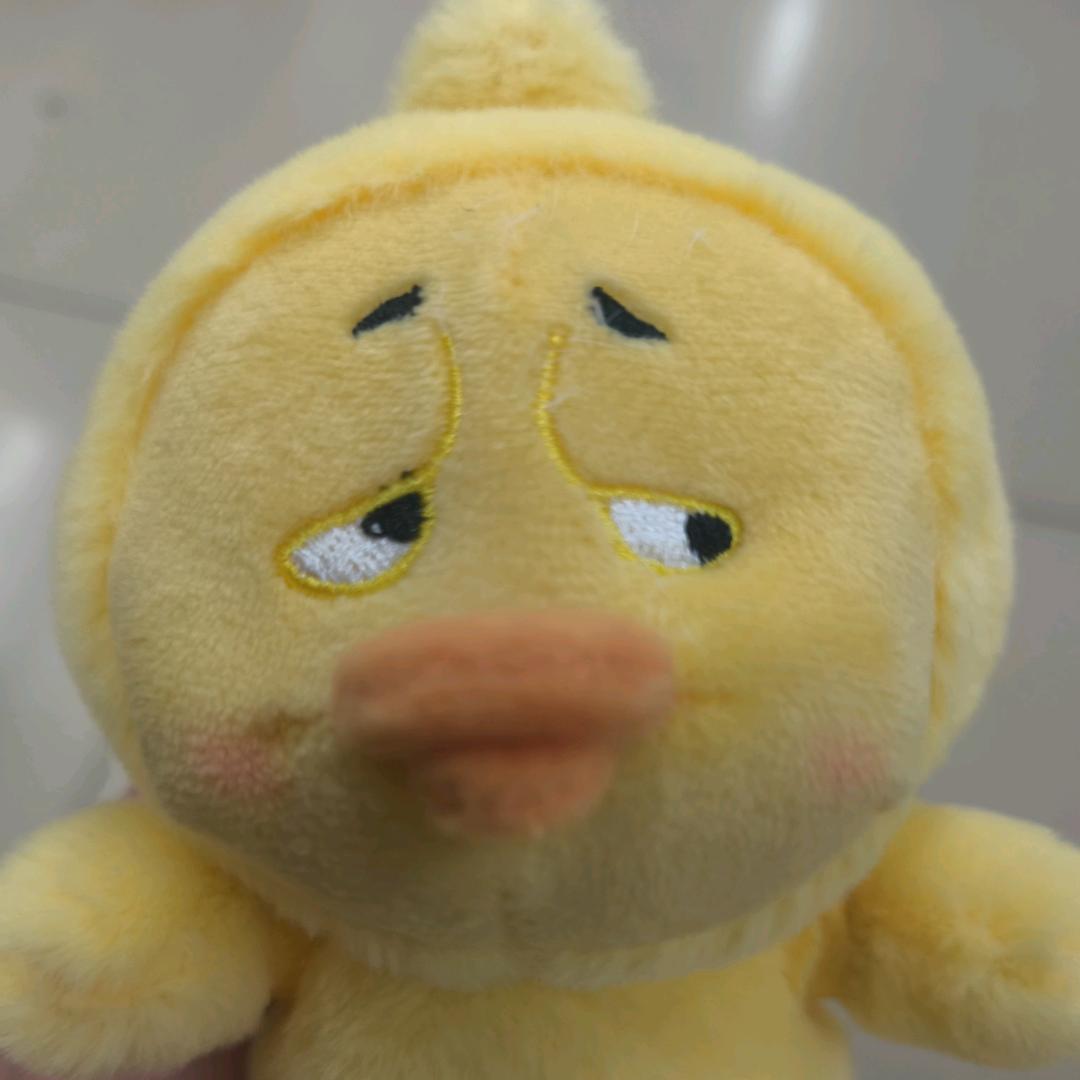 纳爱斯本地生活推荐官杨杨