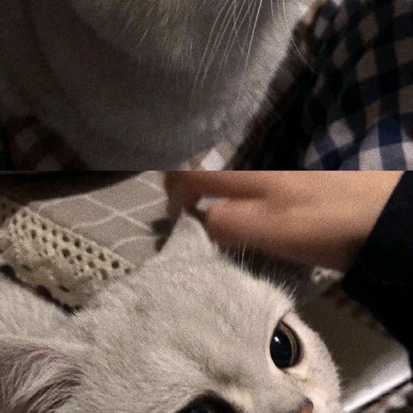 九州（无畏契约）