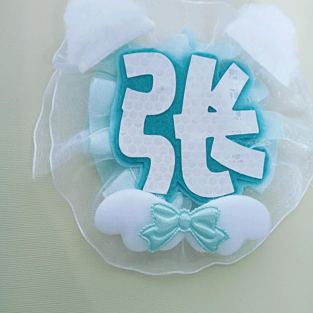 zhangshiqian95