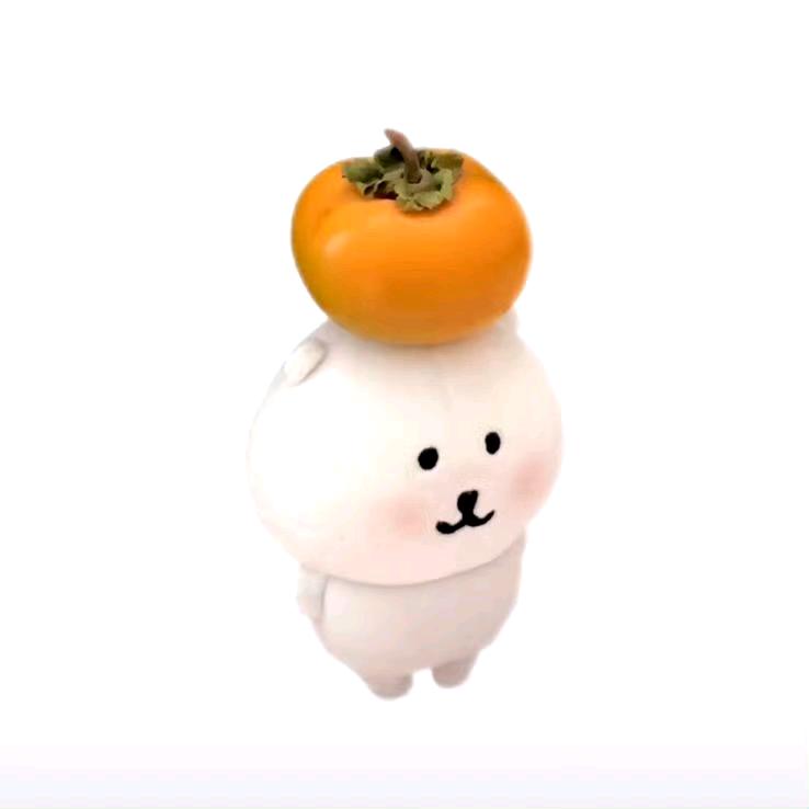 一朵风中摇曳的小O