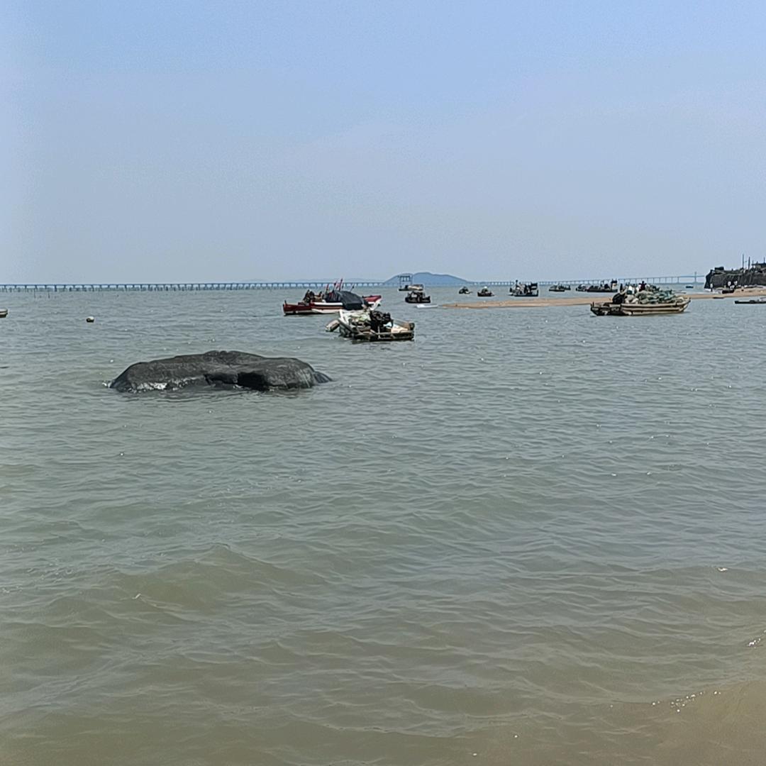 望掉过去从头再来