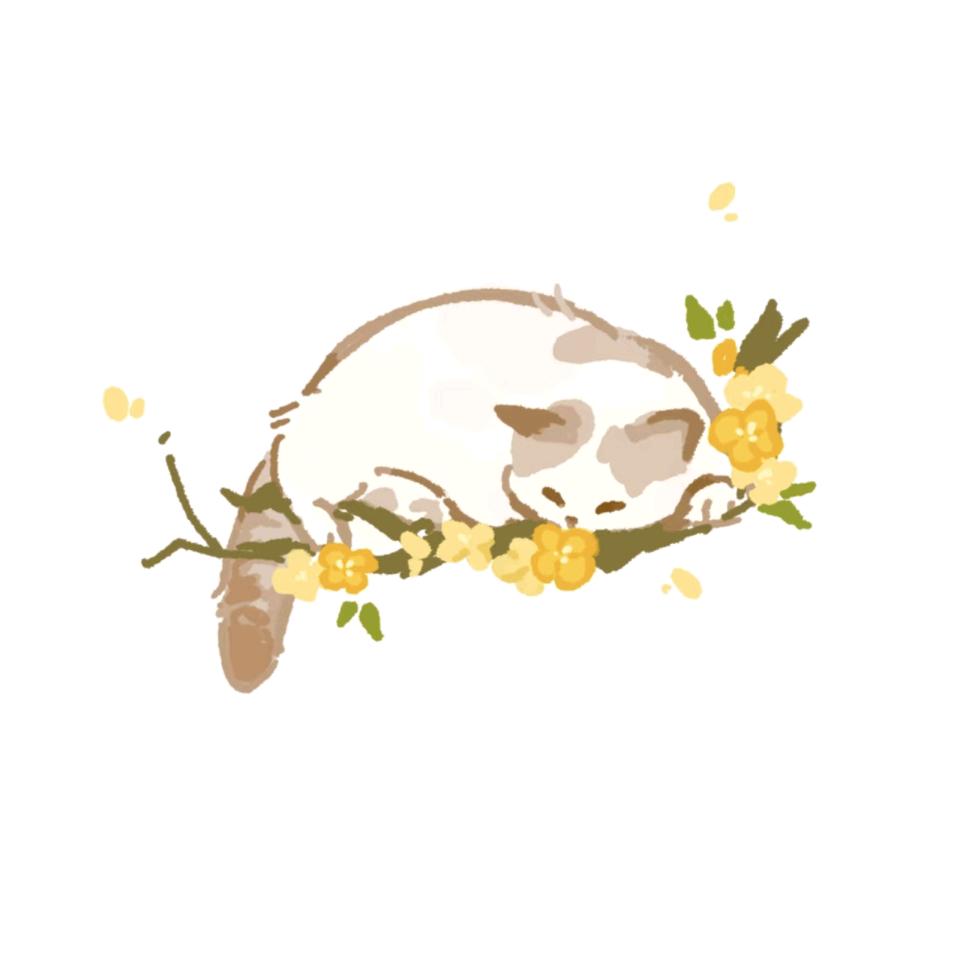 安夏