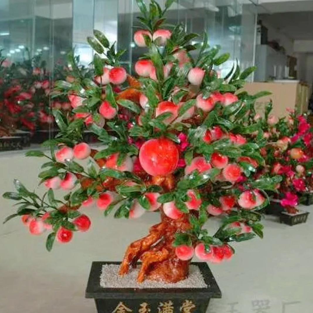 💞⁹金枝玉叶