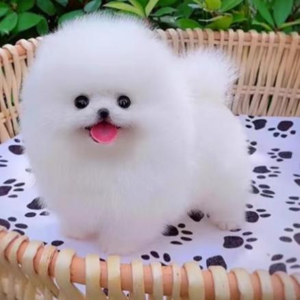 随缘