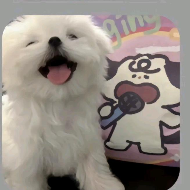 懒羊羊大王