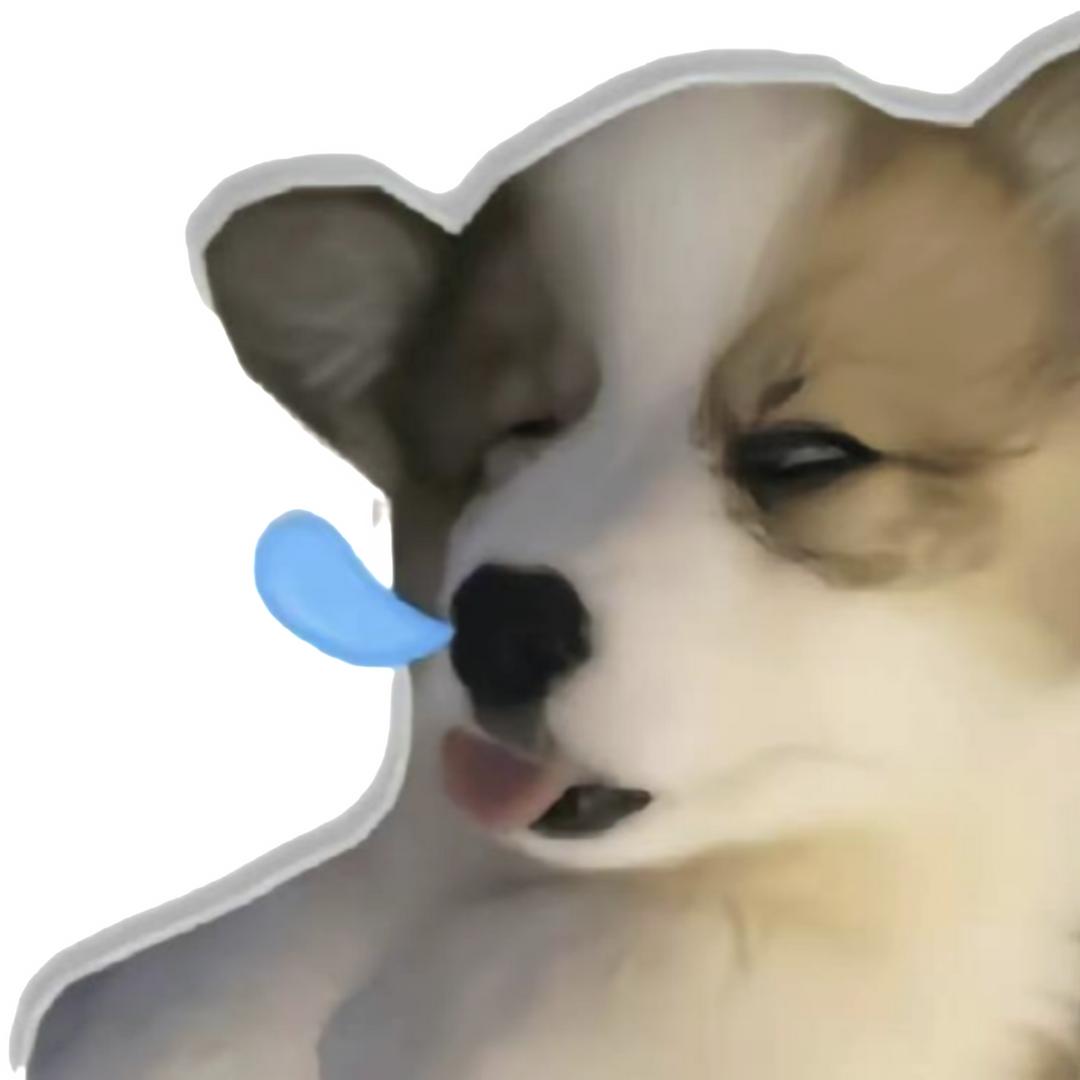 月光下de早自习