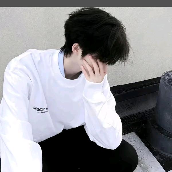 可爱小猪