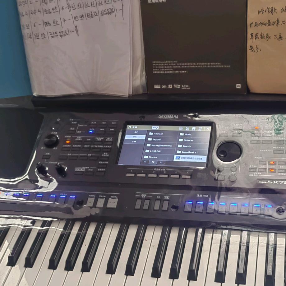 朝阳唢呐演艺🎹🎙️