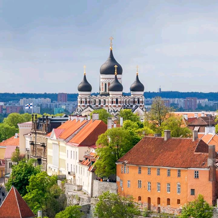 且行且看且从容