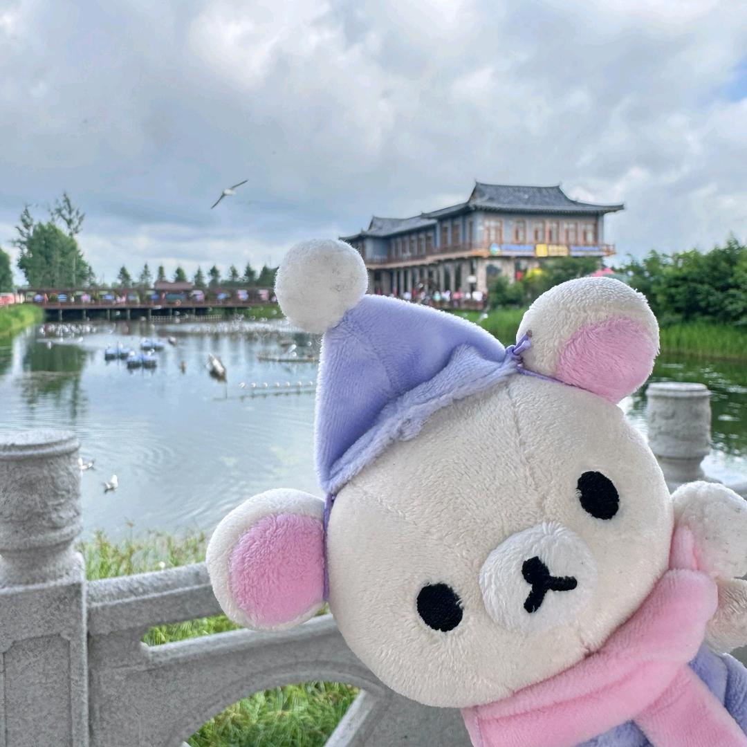 顽强的大蒜