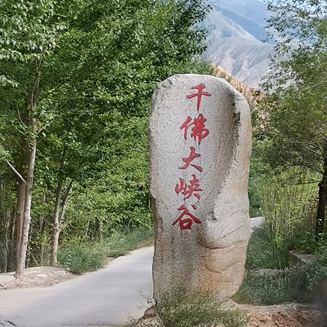 66苹果🍎🍎🍎