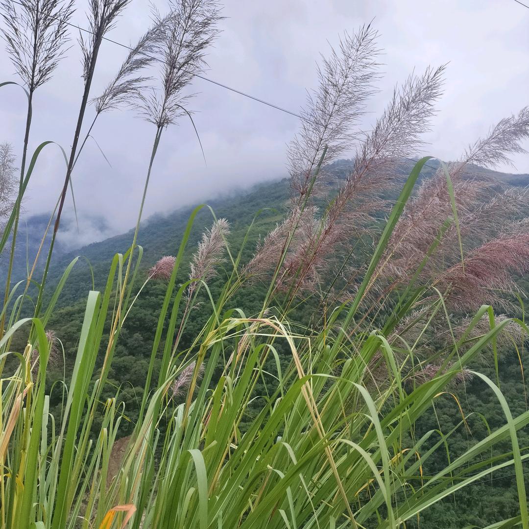 客溢来客缘福商贸部(阳光小区店)