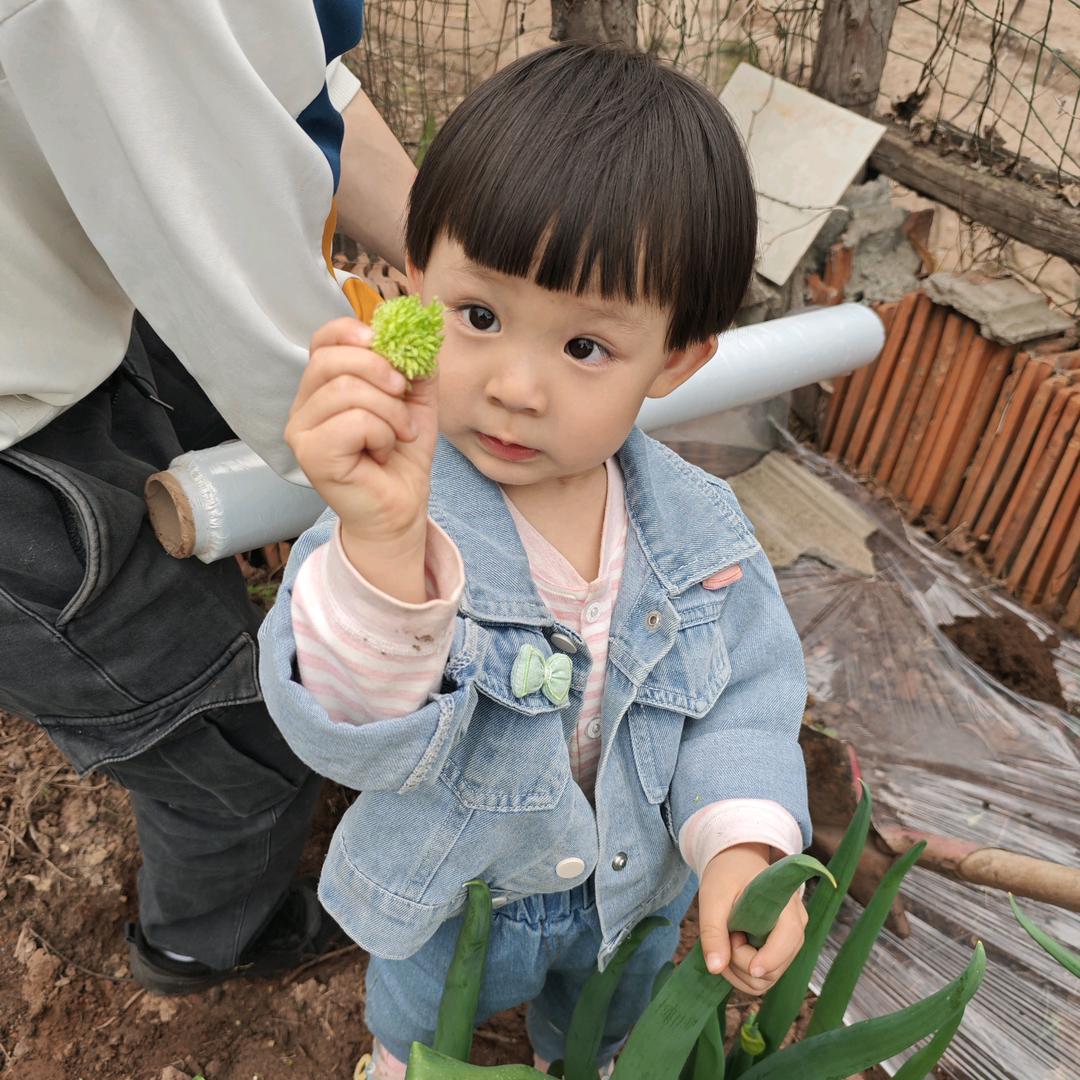 绮格格