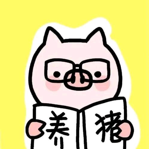 Tao涛
