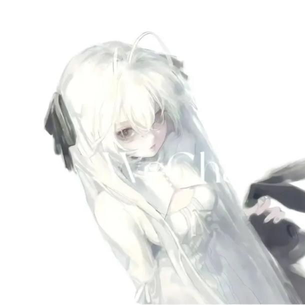 小䴲