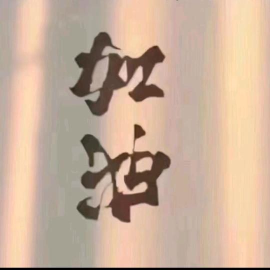 衡水森博