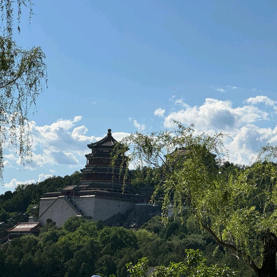 人生得意须尽欢
