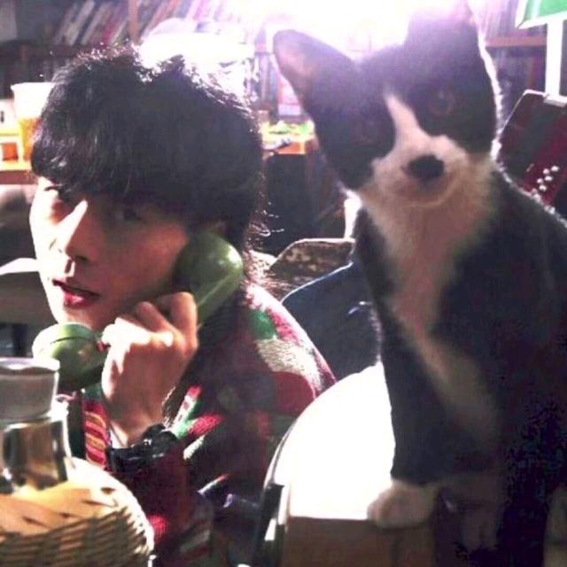 小行迹.🦔