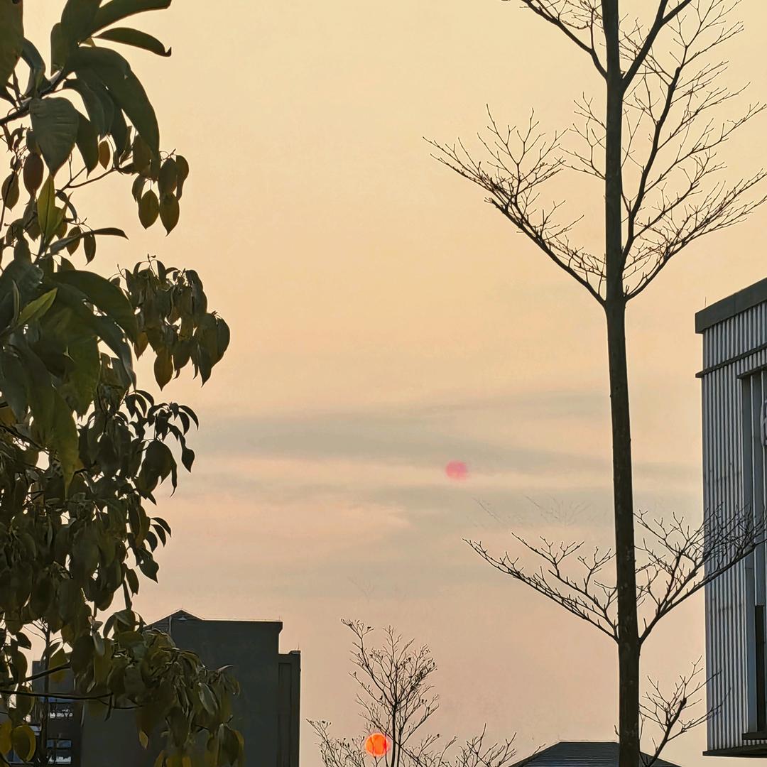 小懵黎（互关版）