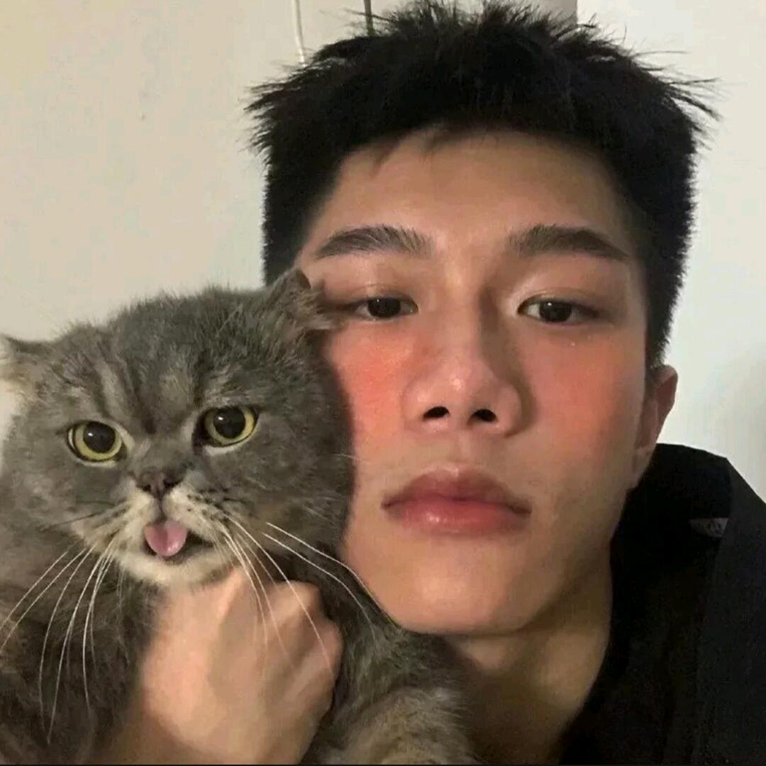 歪比巴卜ㅤ