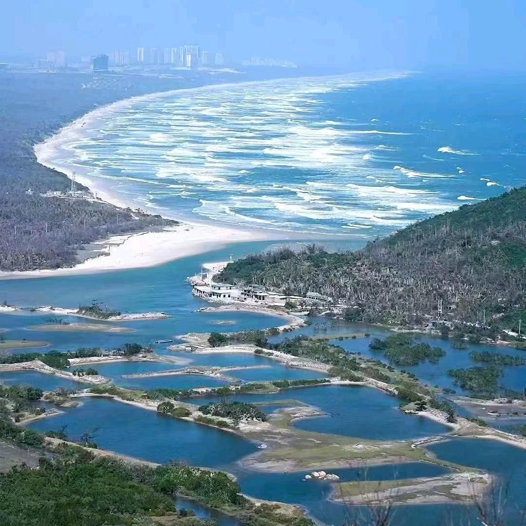 王海天