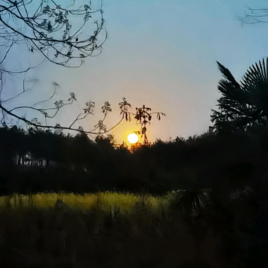 黑丝双马尾小萝莉