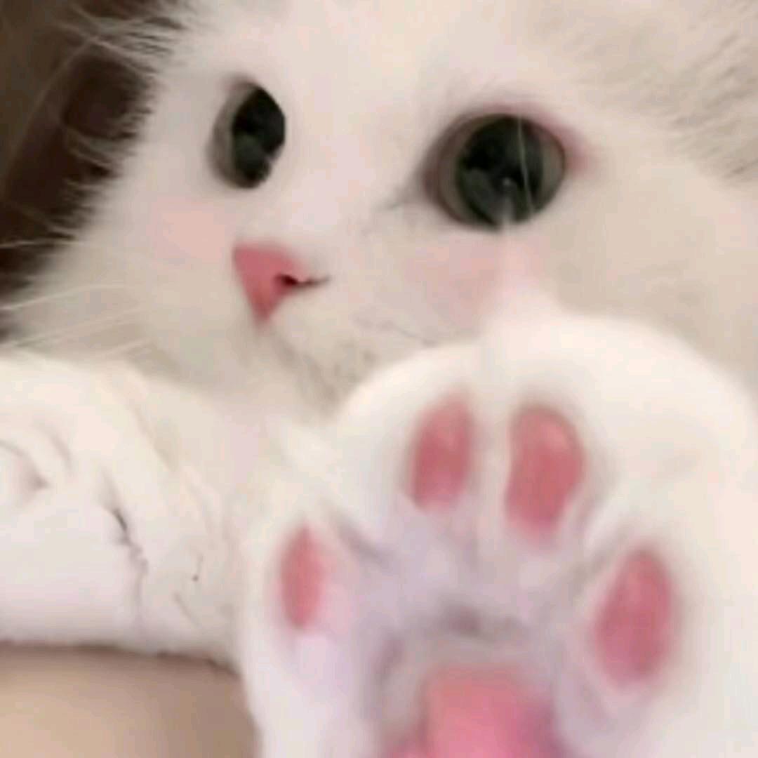 浔寻yy