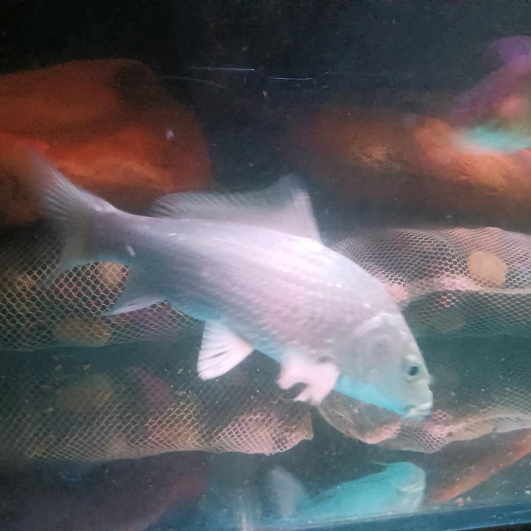 爱上喝酒不如爱上喝茶