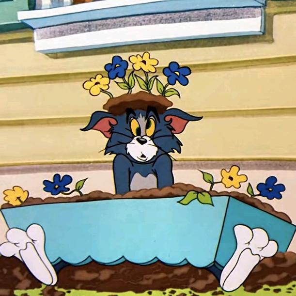 🌈森森银竹🌈