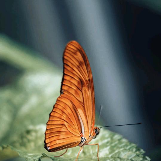 虎哥早上7:20开播