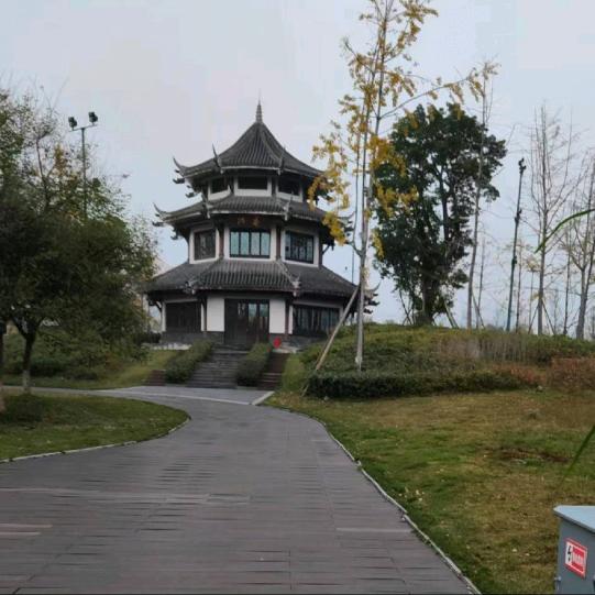 心愿