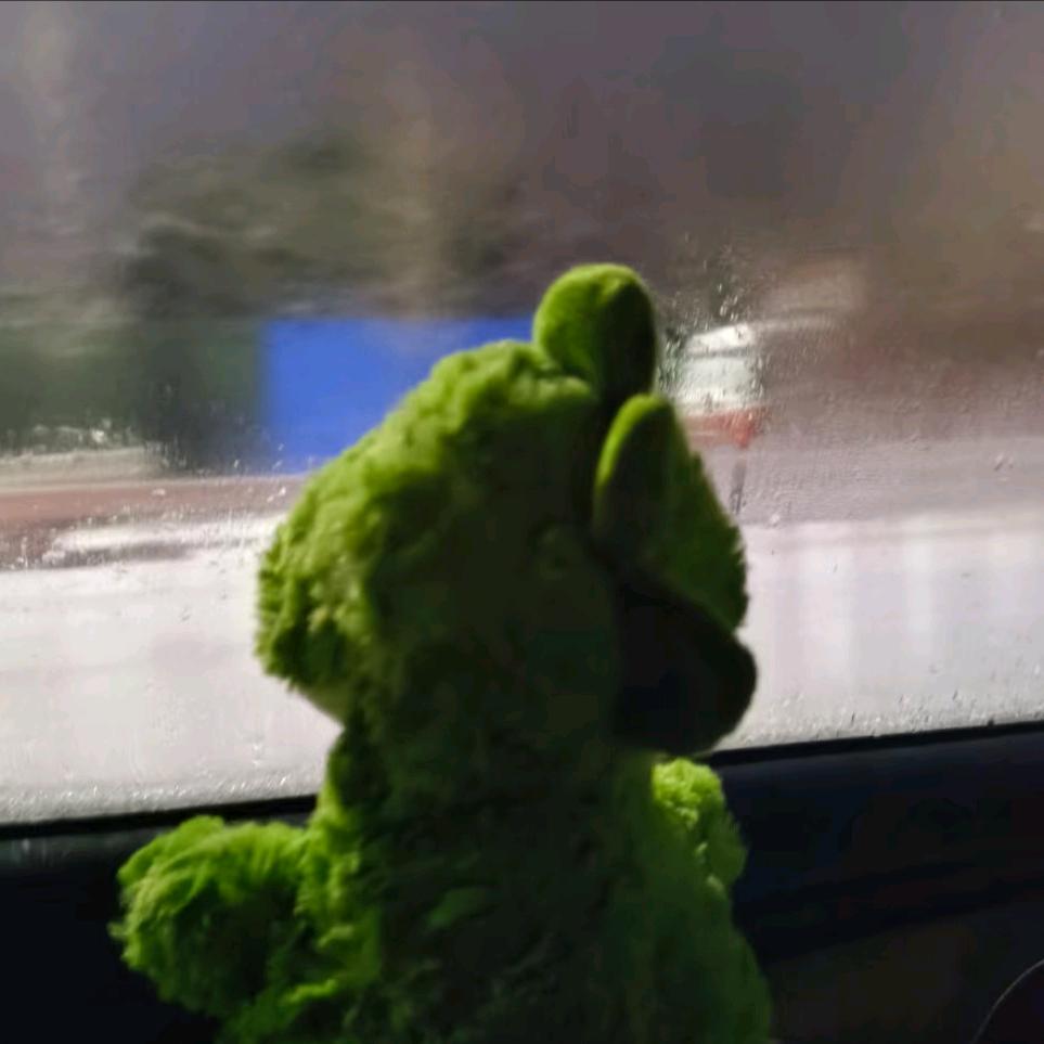 上厕所的大恐龙