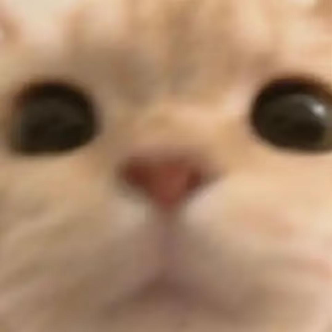 闪电屁屁侠