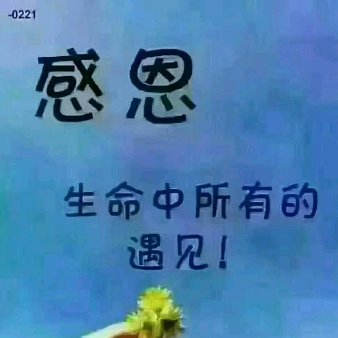 一揽芳华