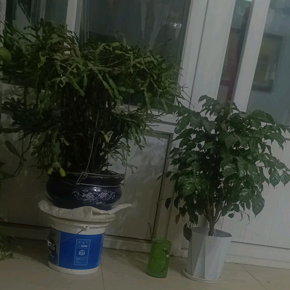 在家带娃，记录孩子的点点滴滴