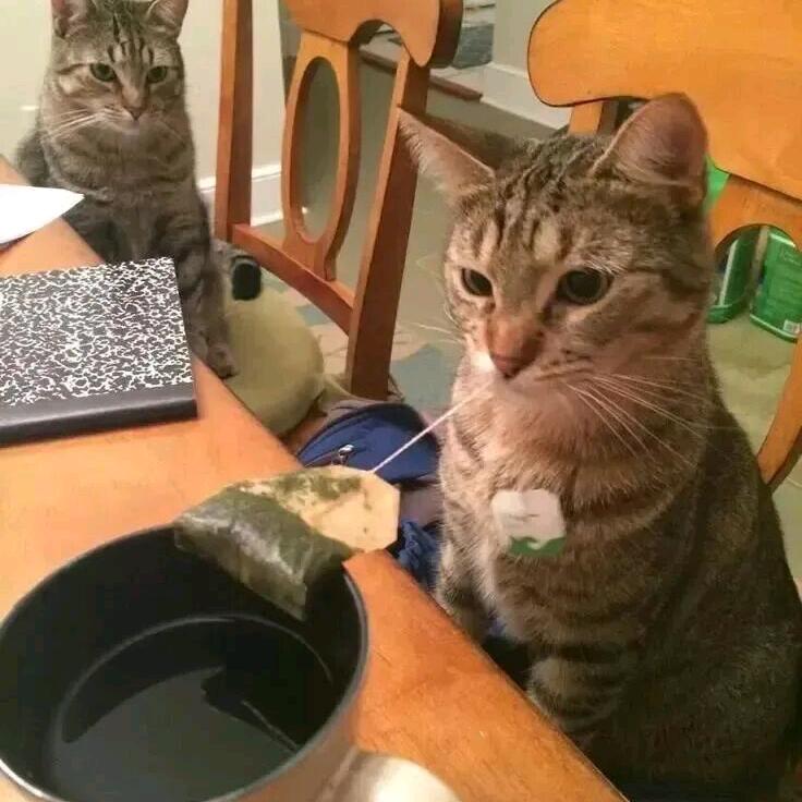 呓